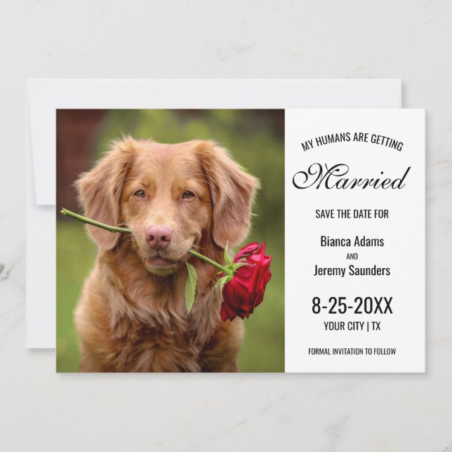 My Humans are Getting Married Dog Photo Wedding Save The Date (Front)
