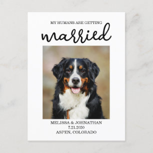 My Humans Are Getting Married   Dog Save the Date  Postcard