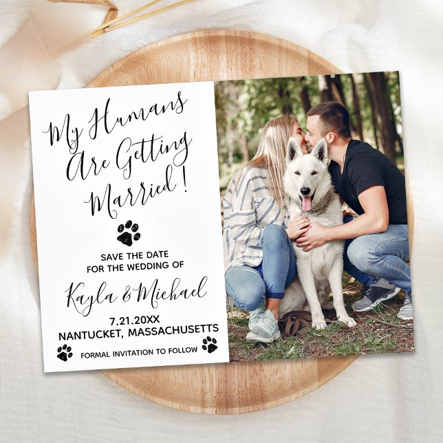 My Humans Are Getting Married Dog Wedding Announcement Postcard (Creator Uploaded)