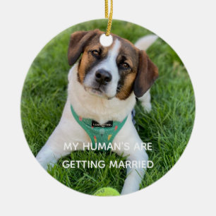 My Human's Are Getting Married Engagement Photo Ceramic Ornament