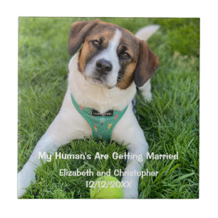 My Human's Are Getting Married Engagement Photo  Ceramic Tile