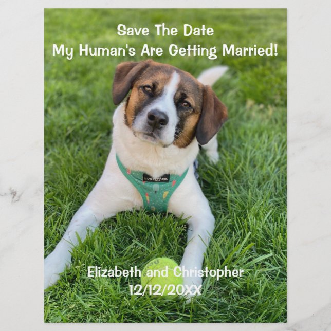 My Human's Are Getting Married Engagement Photo Flyer (Front)