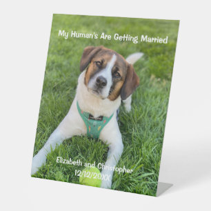 My Human's Are Getting Married Engagement Photo Pedestal Sign