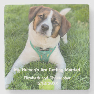 My Human's Are Getting Married Engagement Photo Stone Coaster