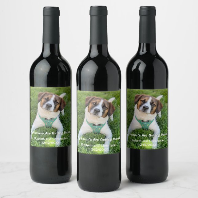 My Human's Are Getting Married Engagement Photo Wi Wine Label (Bottles)