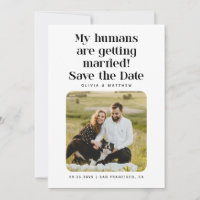 My Humans Are Getting Married | Funny Pet Photo