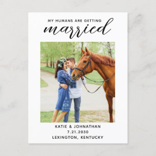 My Humans Are Getting Married Horse Save The Date Announcement Postcard