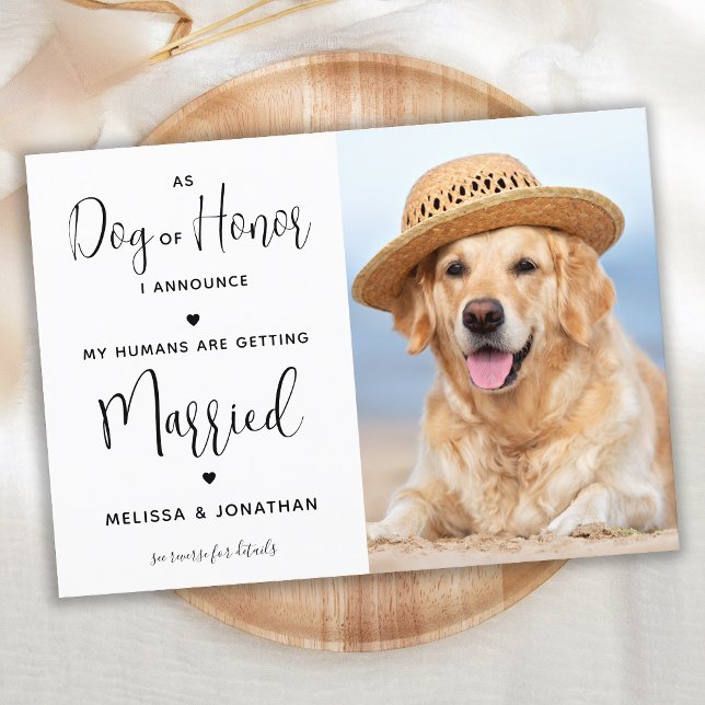 My Human's Are Getting Married Pet Dog Photo Invitation (Creator Uploaded)