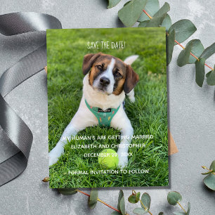 My Human's Are Getting Married Photo Save the Date Magnet