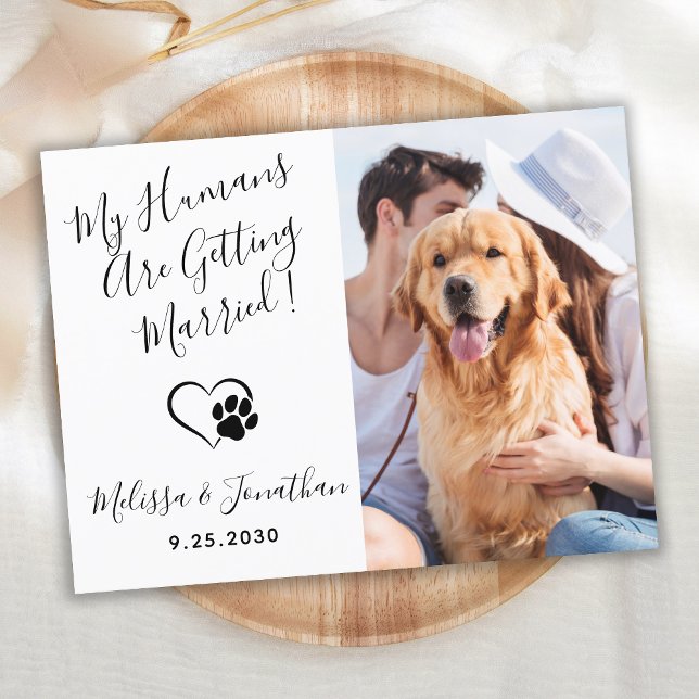 My Humans Are Getting Married QR Code Dog Wedding Invitation Postcard (Creator Uploaded)