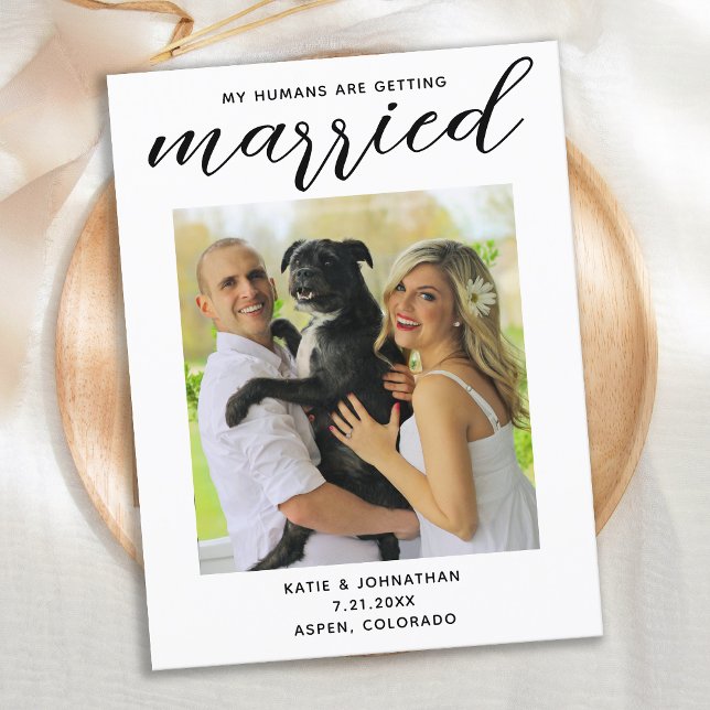 My Humans Are Getting Married- Simple Dog Wedding Announcement Postcard (Creator Uploaded)