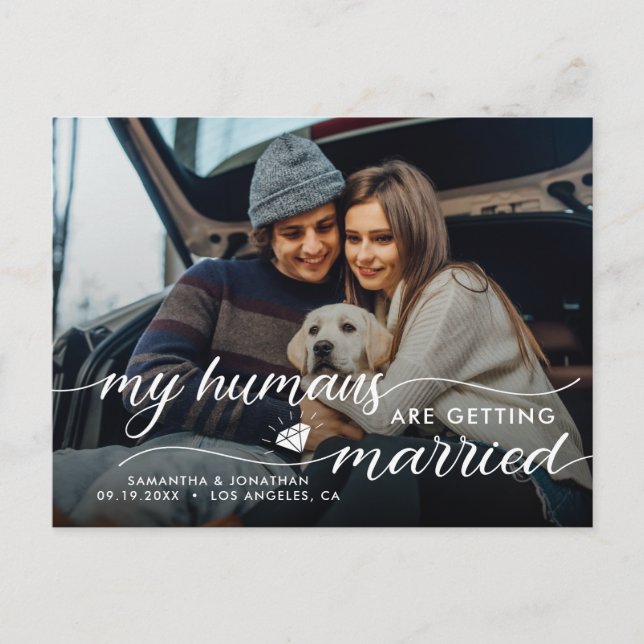 My Humans Are Getting Married Wedding  Announcement Postcard (Front)