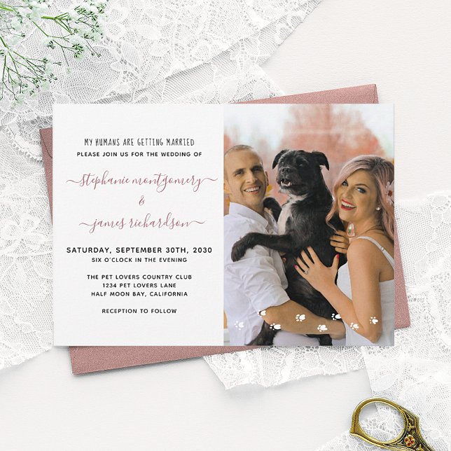 My Humans Getting Married Custom Pet Photo Wedding Invitation (Creator Uploaded)