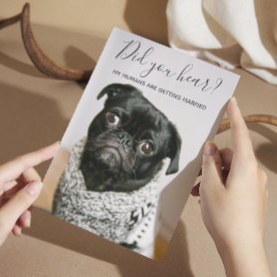 My Humans Getting Married Dog Photo Casual Wedding Invitation