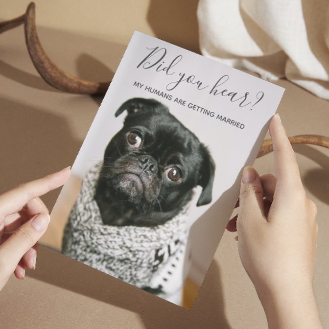 My Humans Getting Married Dog Photo Casual Wedding Invitation (Creator Uploaded)