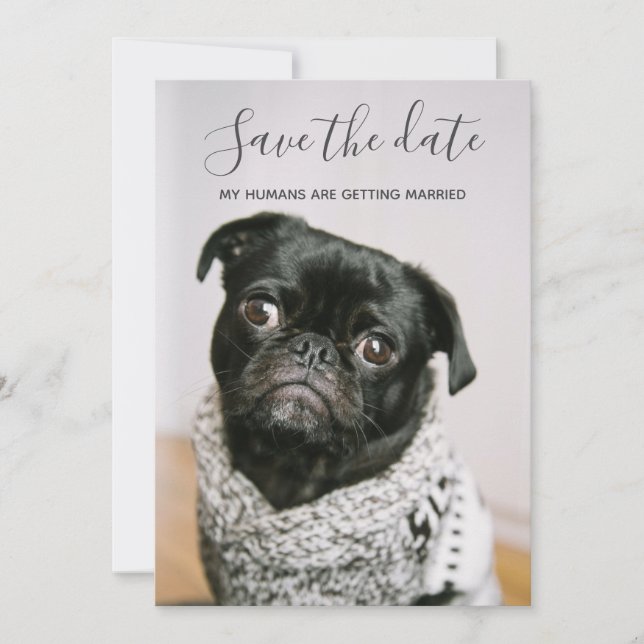 My Humans Getting Married Dog Photo Save The Date Invitation (Front)