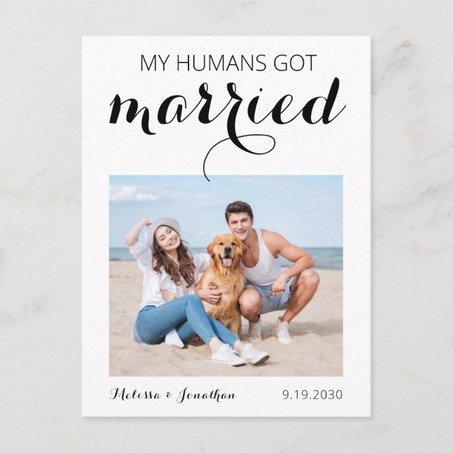 My Humans Got Married Dog Wedding Elopement Announcement Postcard (Front)