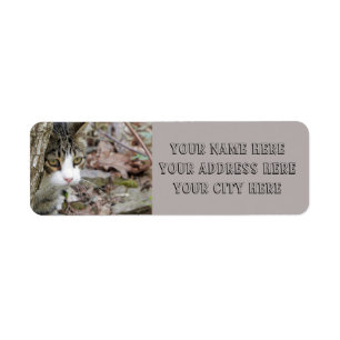 My Hunting Cat  Return Address Label