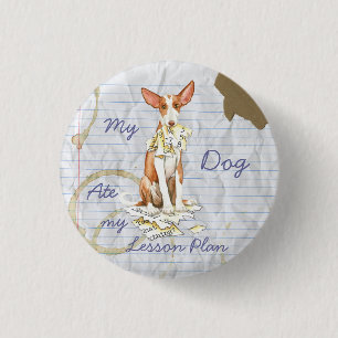 My Ibizan Hound Ate My Lesson Plan 3 Cm Round Badge