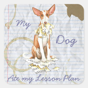 My Ibizan Hound Ate My Lesson Plan Square Sticker
