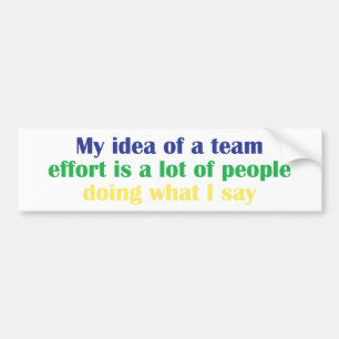 My Idea of a Team Effort... Bumper Sticker