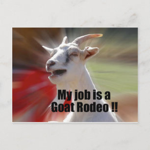 My Job is a Goat Rodeo Goat Photography Postcard