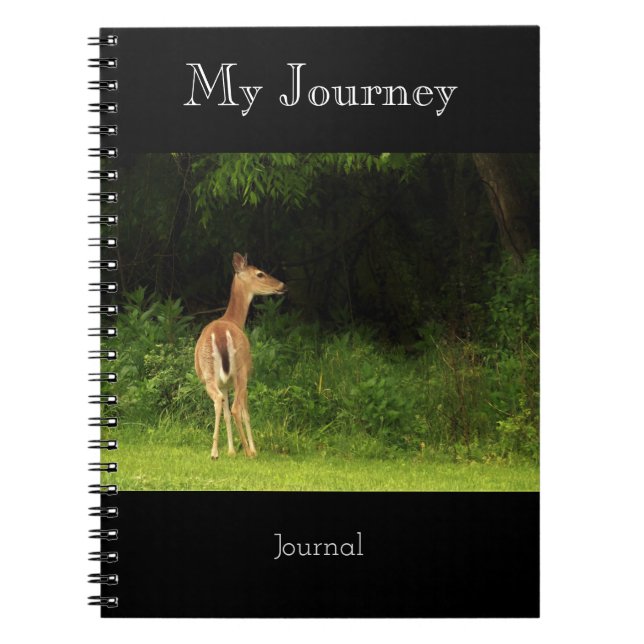 My Journey - journal (Front)