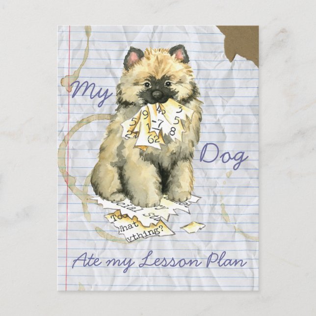My Keeshond Ate My Lesson Plan Postcard (Front)
