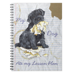 My Kerry Ate My Lesson Plan Notebook