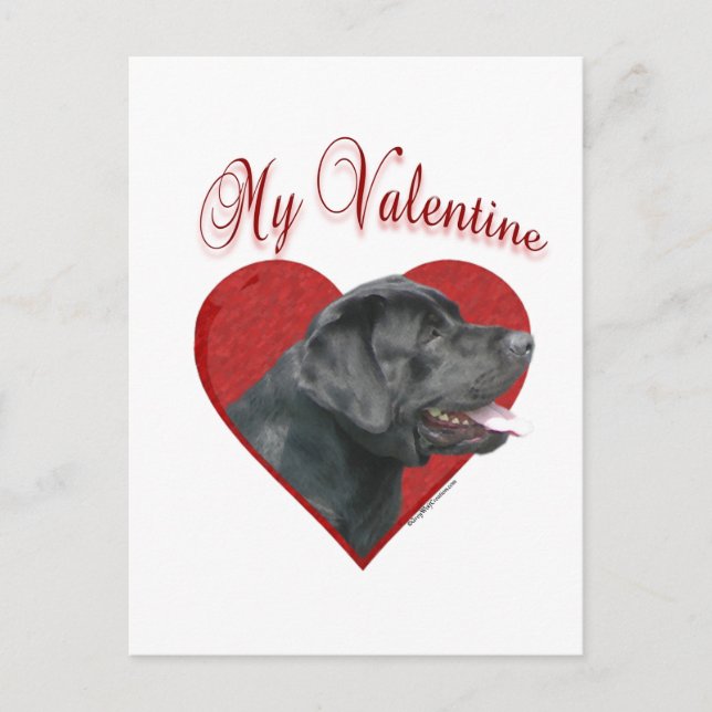 My Labrador Retriever Valentine Holiday Postcard (Front)