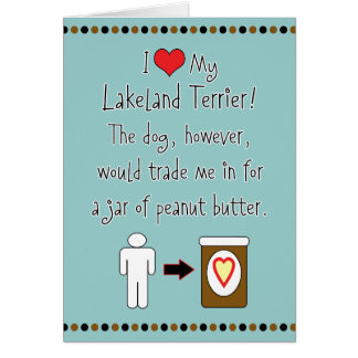 My Lakeland Terrier Loves Peanut Butter