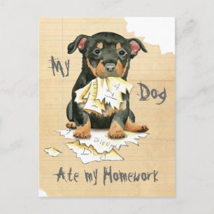 My Lancashire Heeler Ate my Homework Postcard
