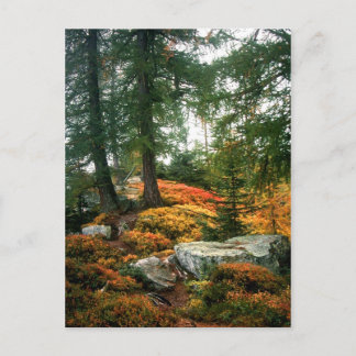 MY LIFE IS NOT THIS VERTICAL HOUR POSTCARD