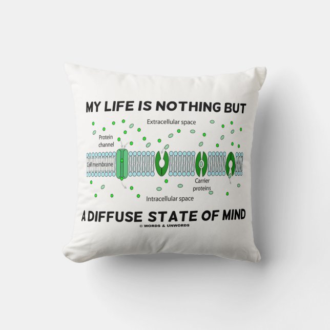My Life Is Nothing But A Diffuse State Of Mind Cushion (Front)