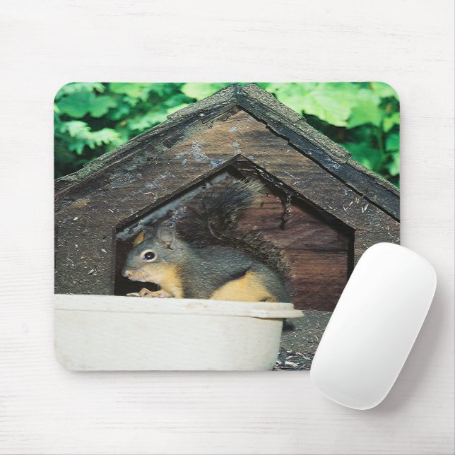 My lil' friend..... mouse pad (With Mouse)