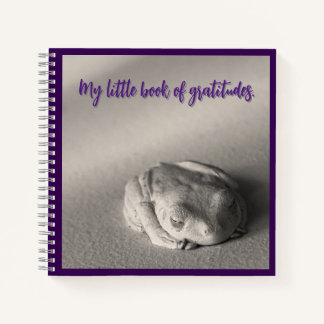 My Little Book of Gratitudes.