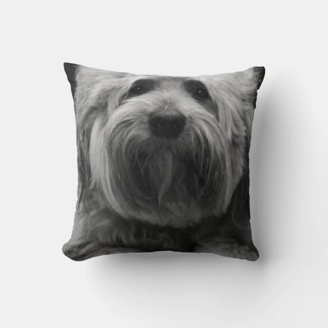 My Little Cute Pet Doggy Cushion (Front)
