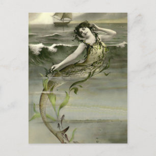 My Little Mermaid Postcard