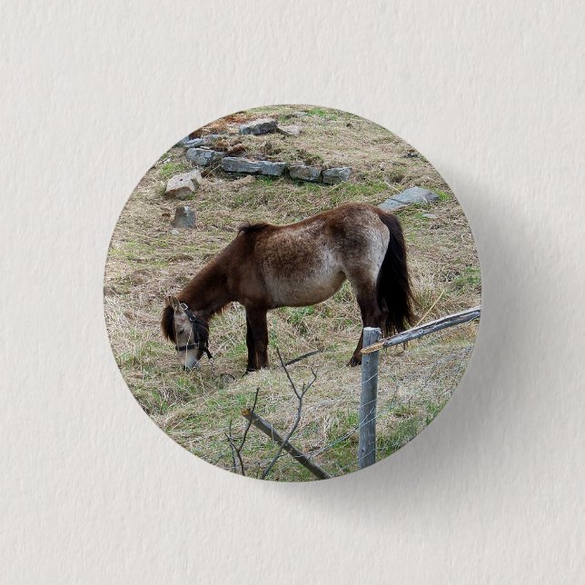 My Little Pony Button (Front)