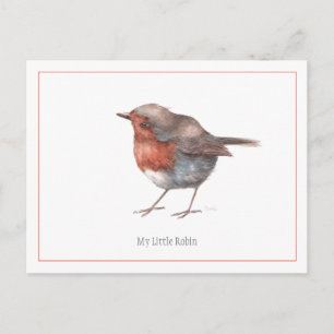 'My Little Robin' Postcard