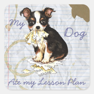 My Long Coat Chihuahua Ate My Lesson Plan Square Sticker
