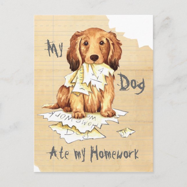 My Longhaired Dachshund Ate my Homework Postcard (Front)