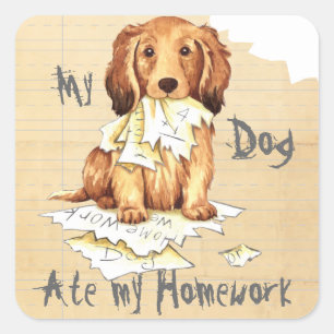 My Longhaired Dachshund Ate my Homework Square Sticker