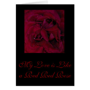 My Love is Like a Red Red Rose