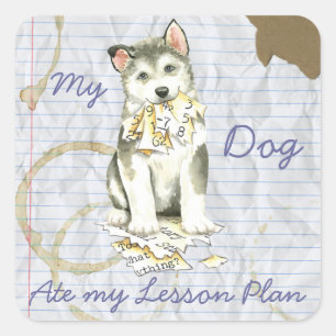 My Malemute Ate My Lesson Plan Square Sticker