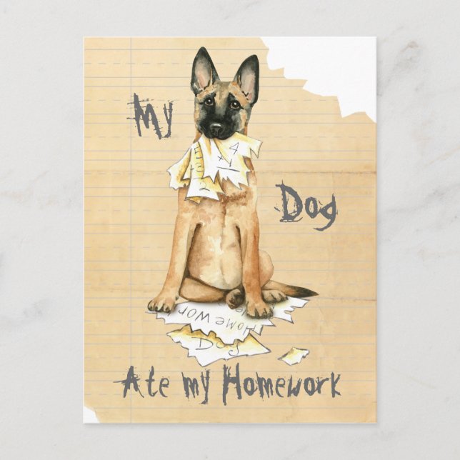 My Malinois Ate My Homework Postcard (Front)