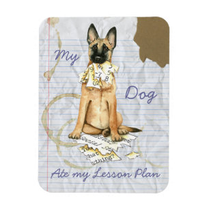 My Malinois Ate My Lesson Plan Magnet
