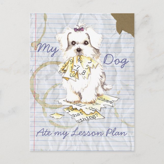 My Maltese Ate My Lesson Plan Postcard (Front)