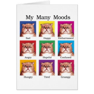My Many Moods