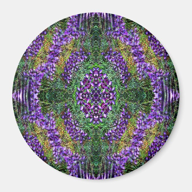 My Medicine Wheel... Magnet (Front)